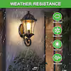 Retro Black Ground Glass Dusk to Dawn Outdoor Hardwired Waterproof Wall Lantern Scone with No Bulbs Included